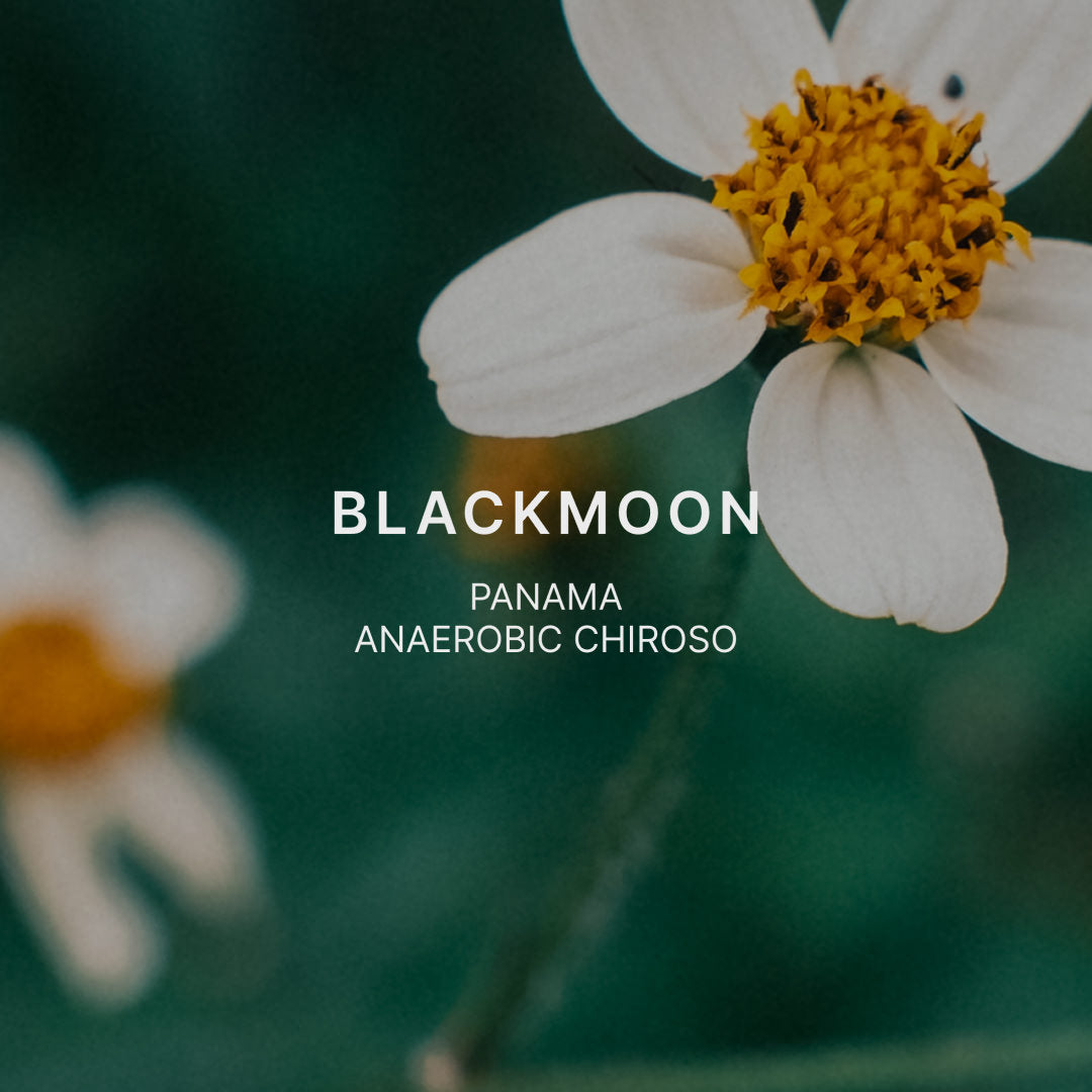 BLACKMOON