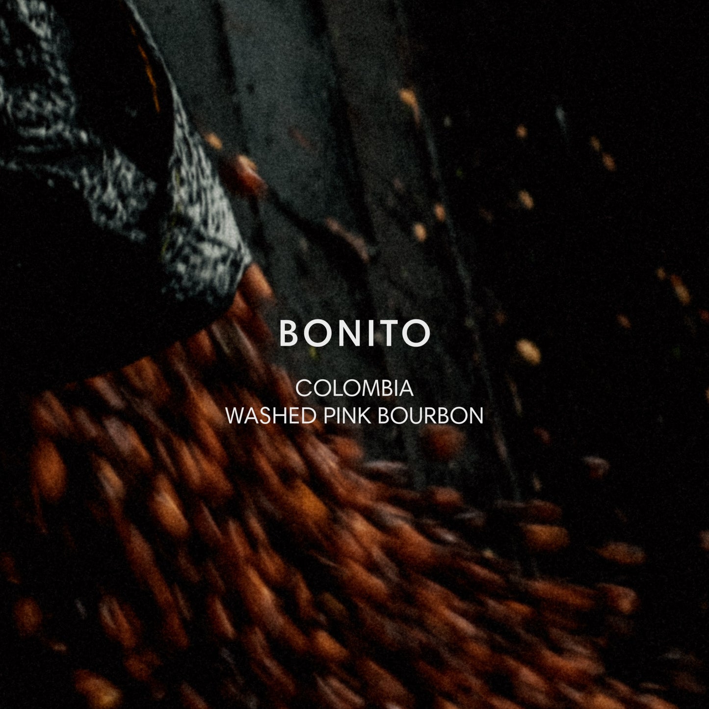 BONITO