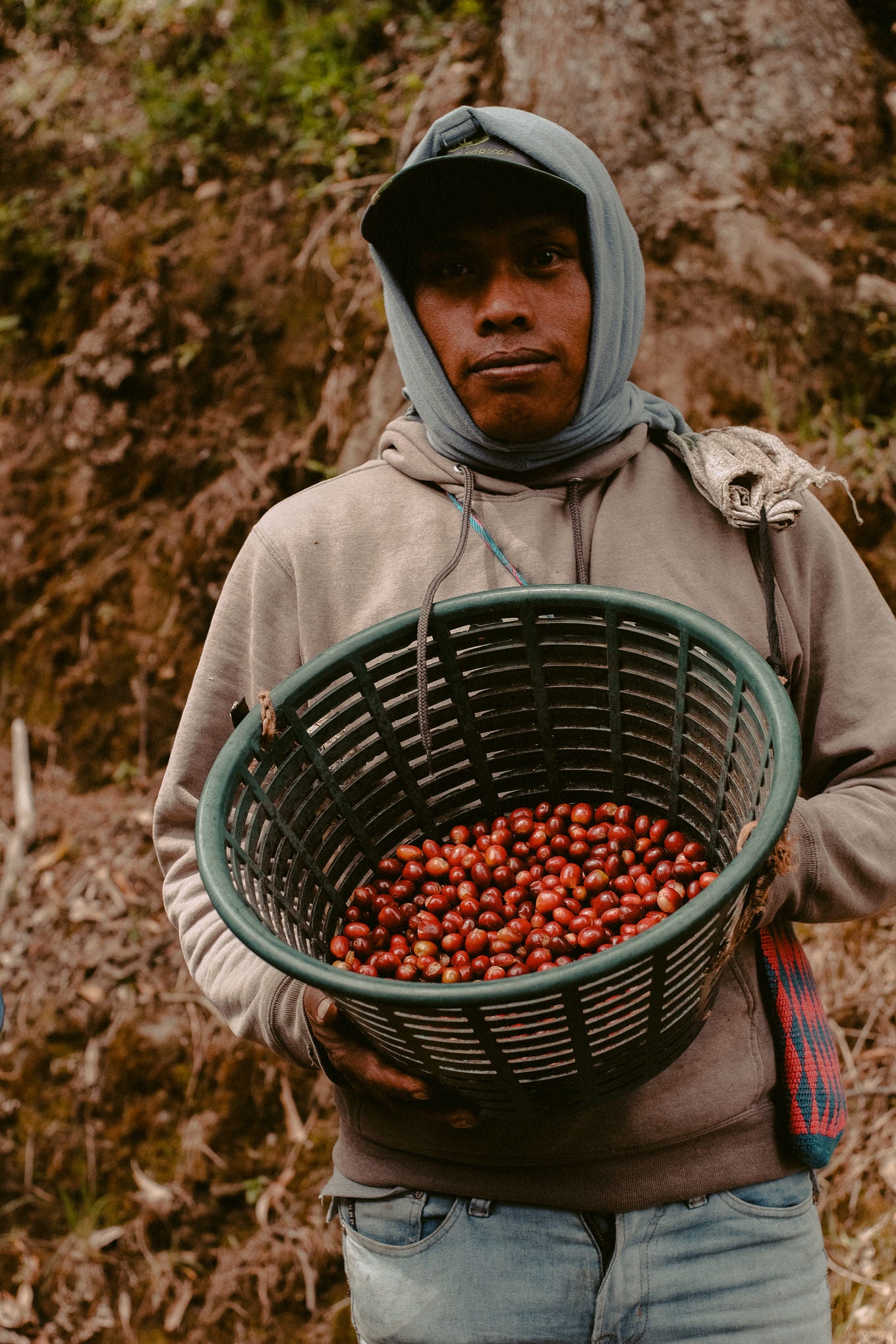 FINCA SOPHIA