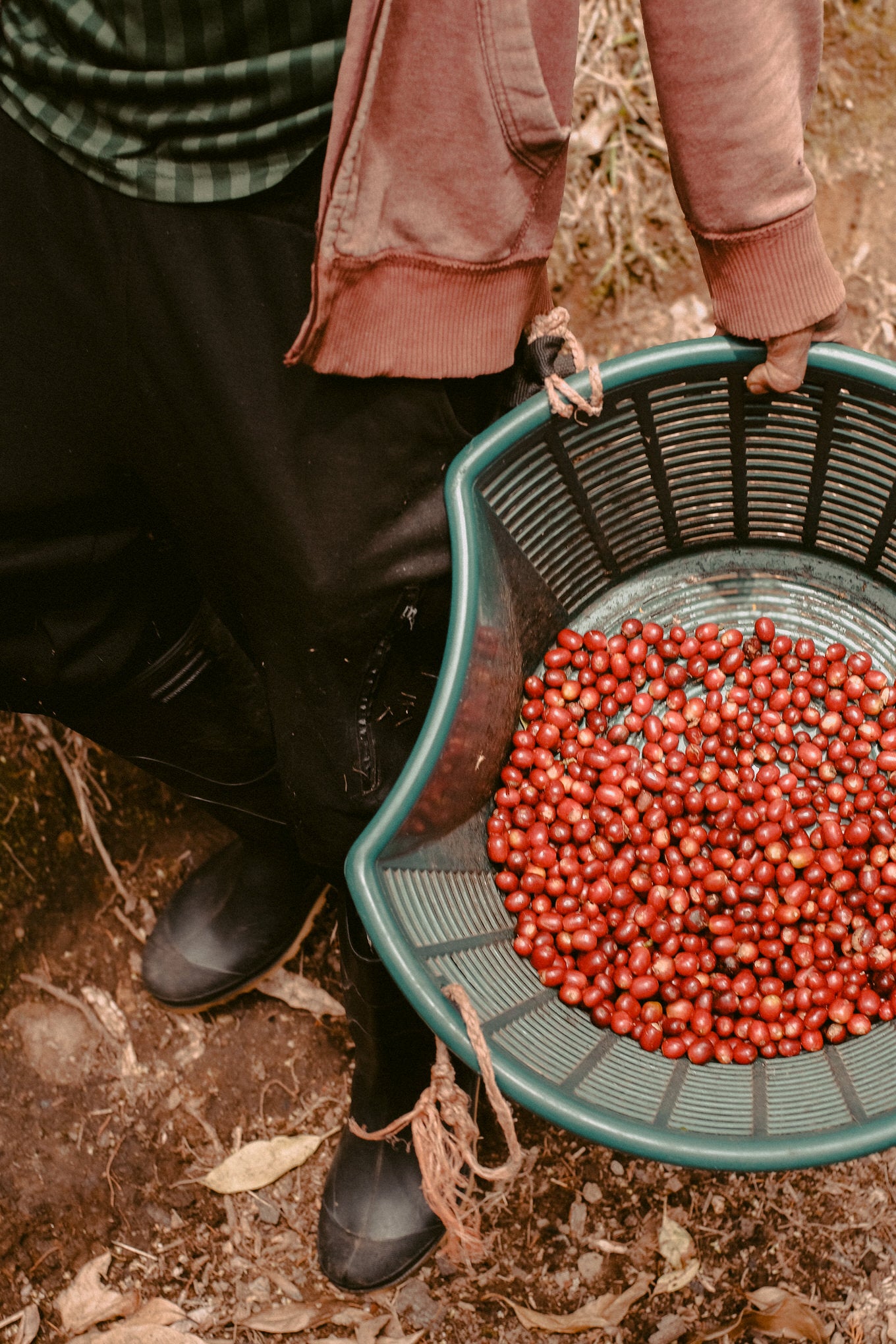 FINCA SOPHIA