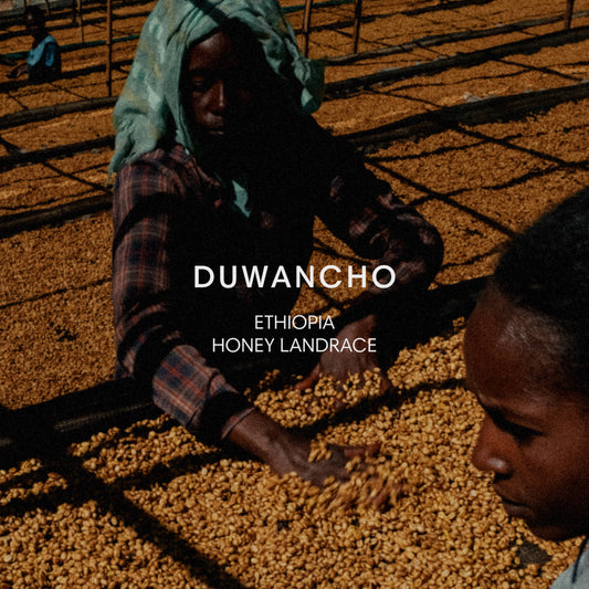 DUWANCHO