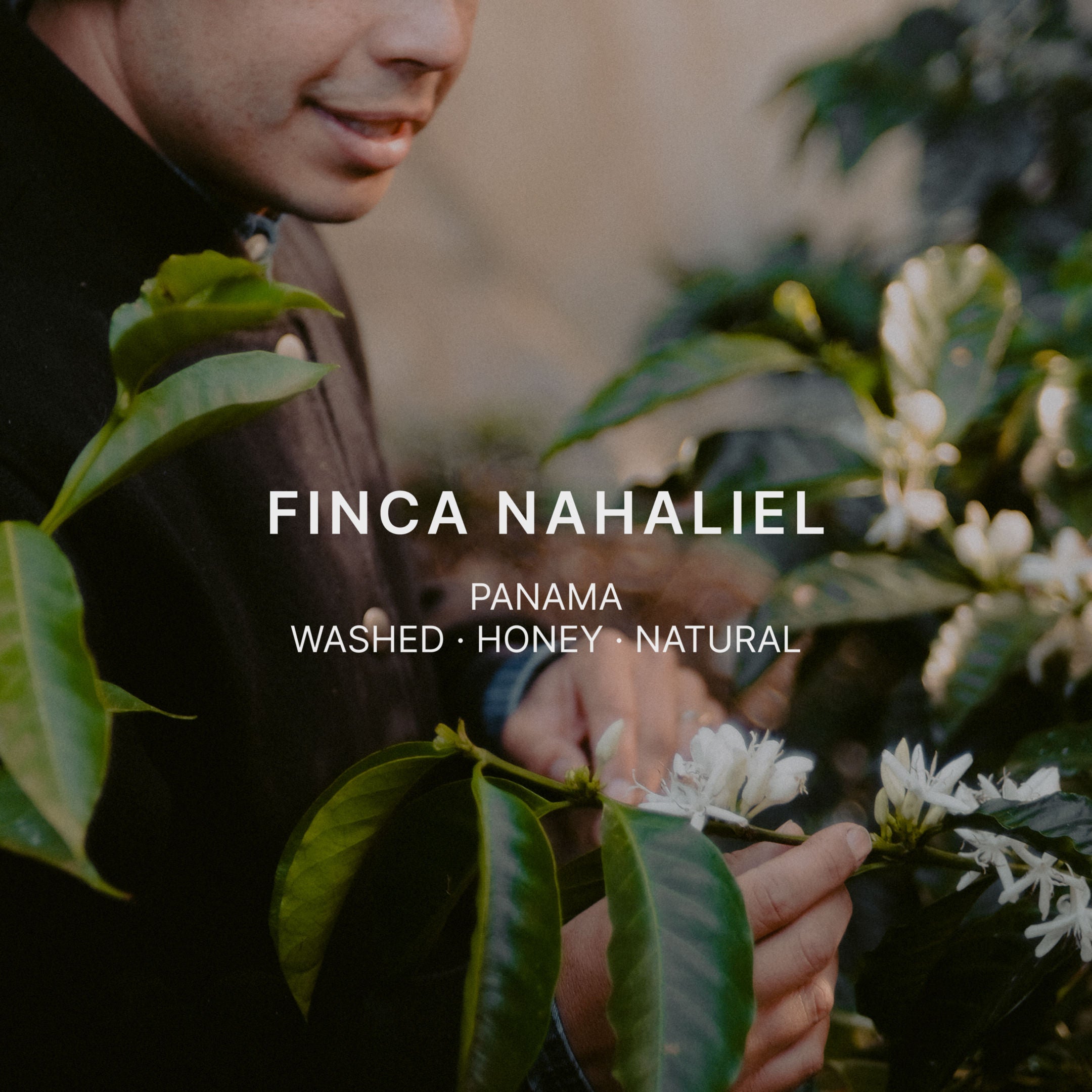 FINCA NAHALIEL