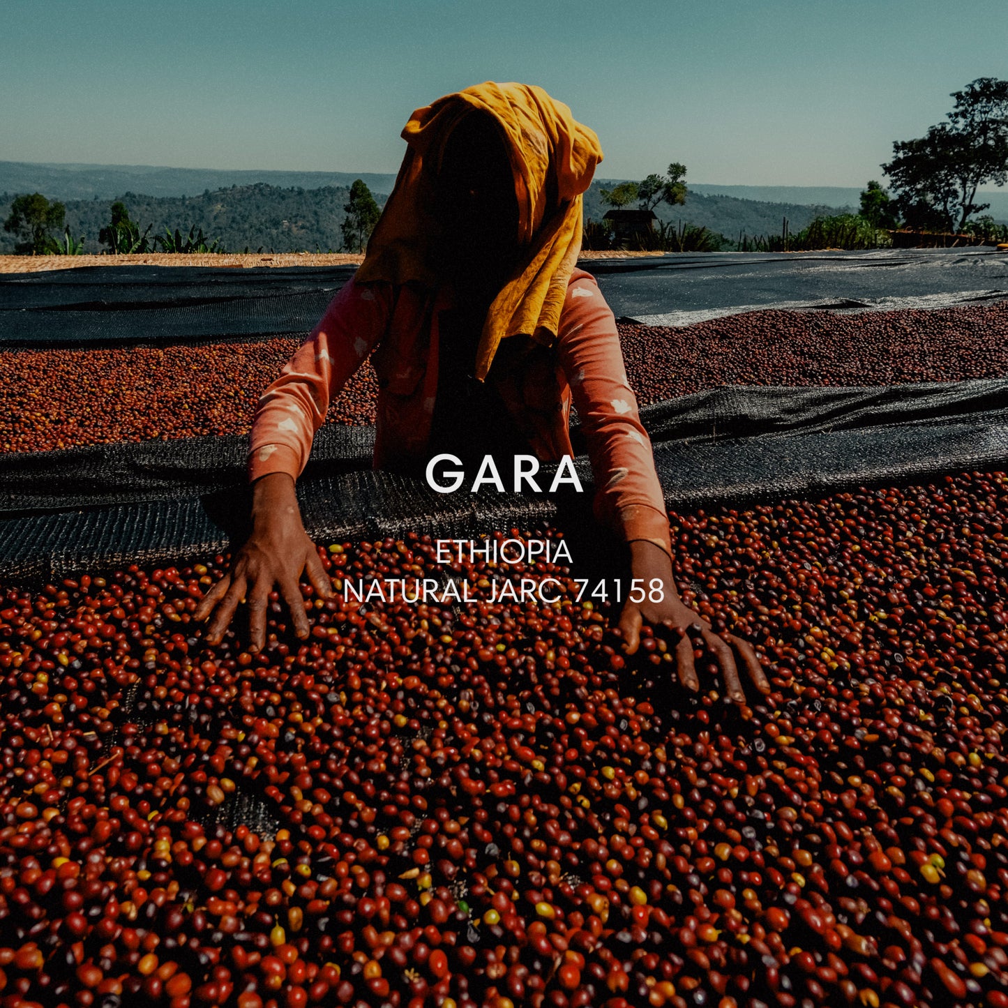 GARA