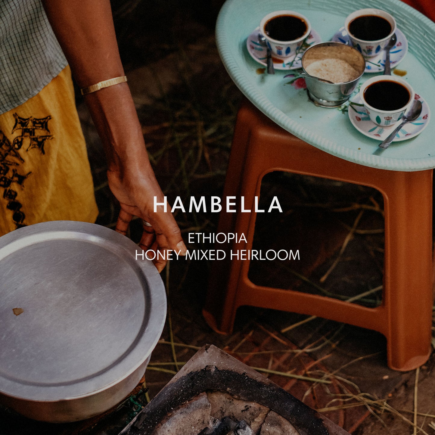 HAMBELLA