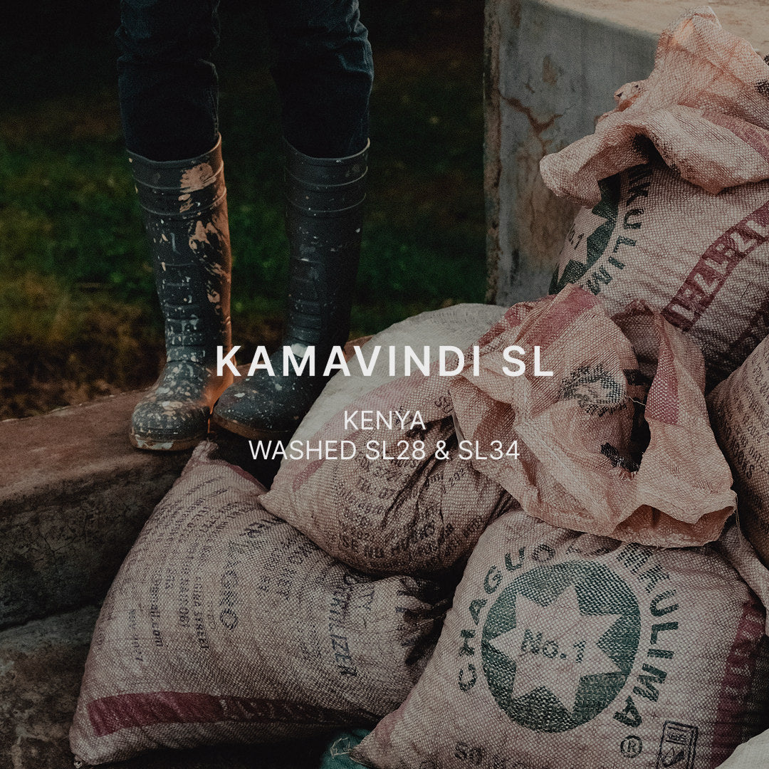 KAMAVINDI SL