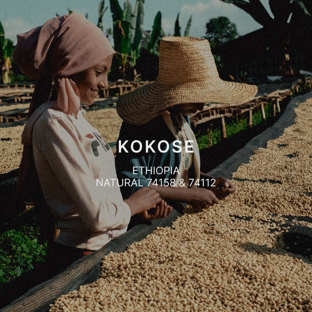 KOKOSE