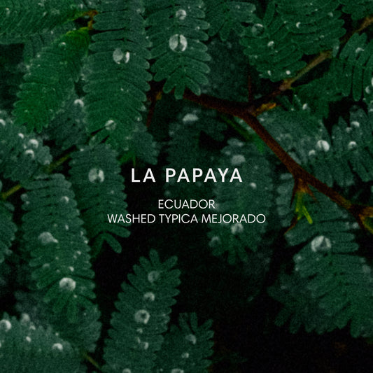 LA PAPAYA