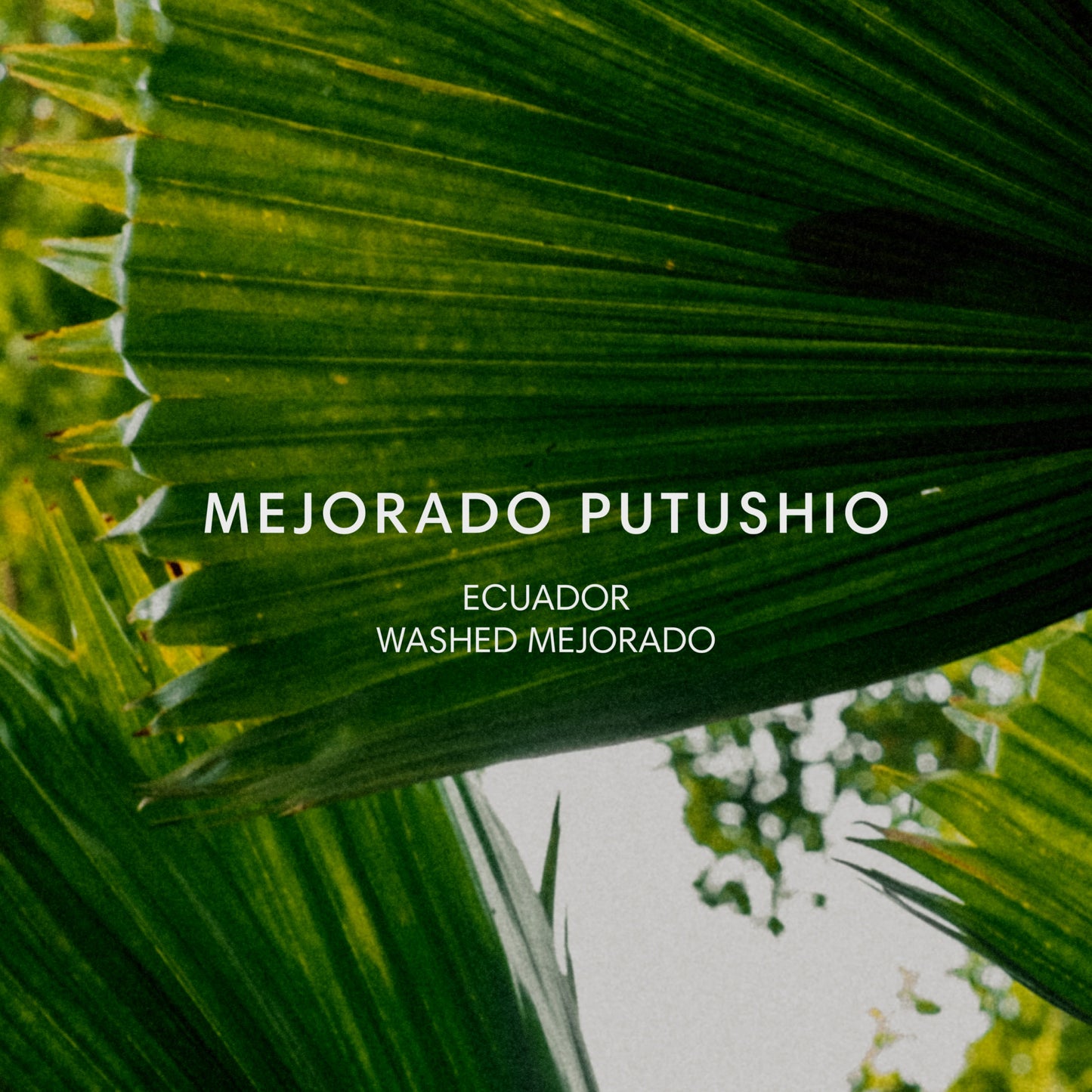 MEJORADO PUTUSHIO