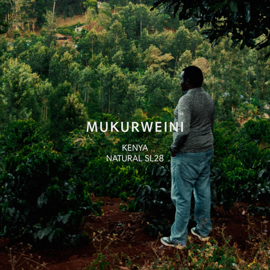 MUKURWEINI