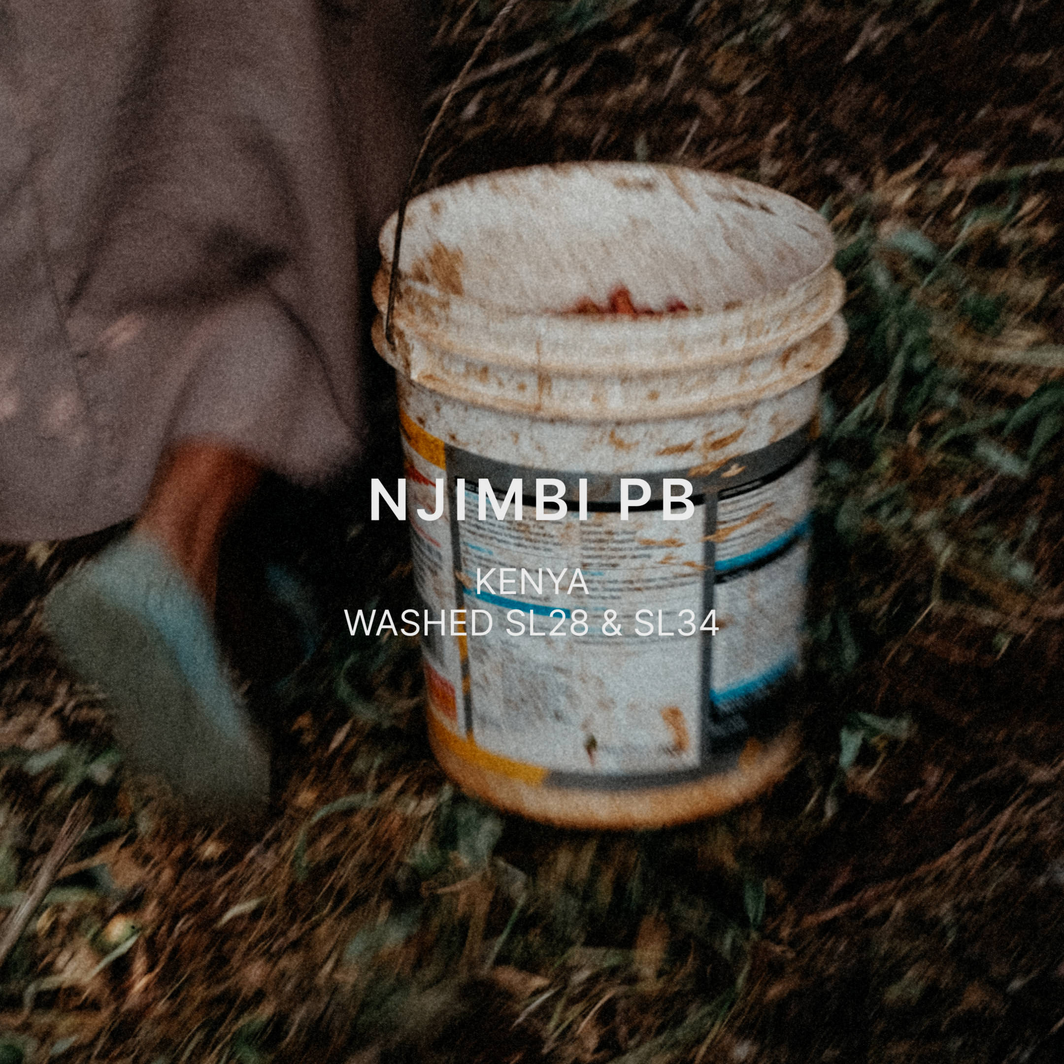 NJIMBI PB