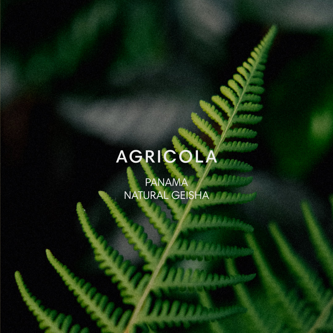 AGRICOLA #202 packshot