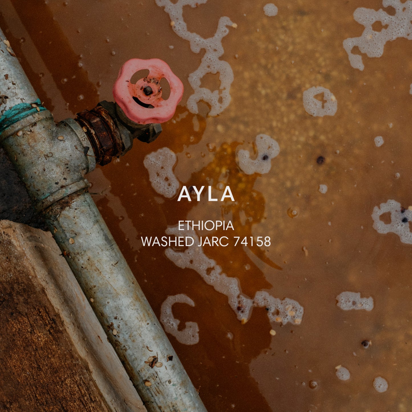 AYLA