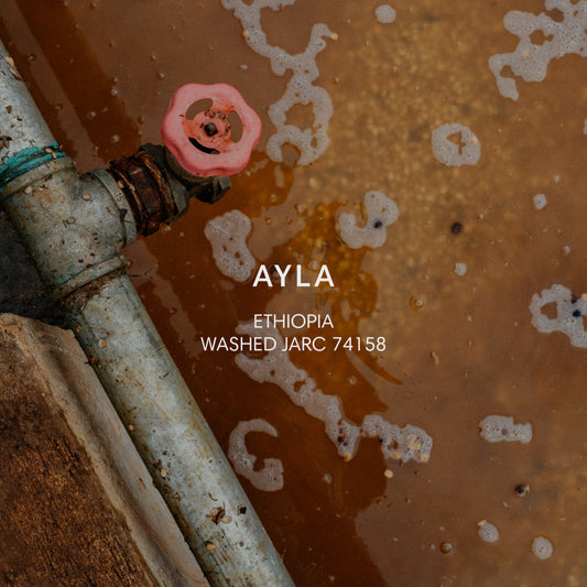 AYLA
