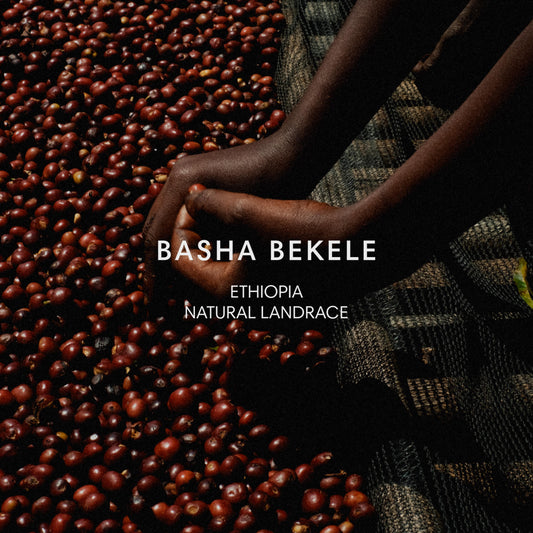 BASHA BEKELE