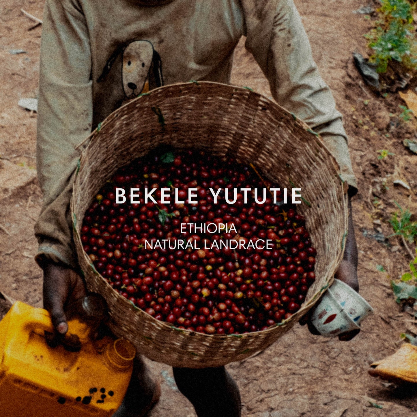 BEKELE YUTUTIE