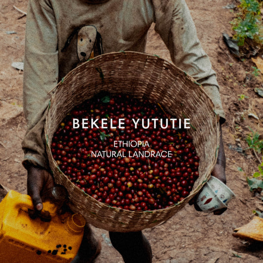 BEKELE YUTUTIE