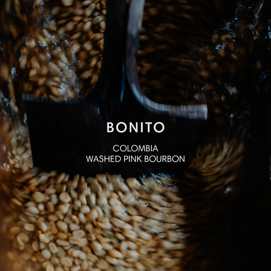 BONITO WASHED