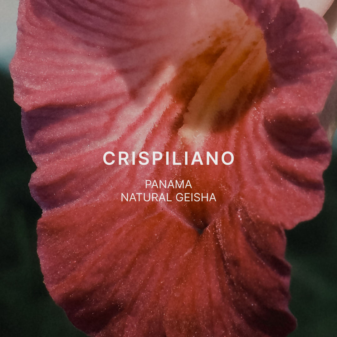 CRISPILIANO