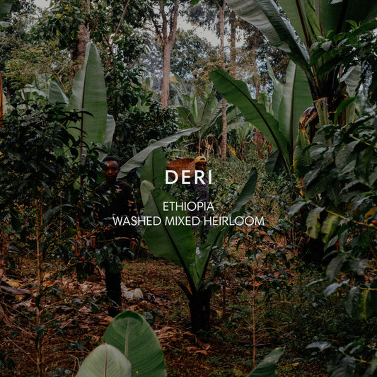 DERI