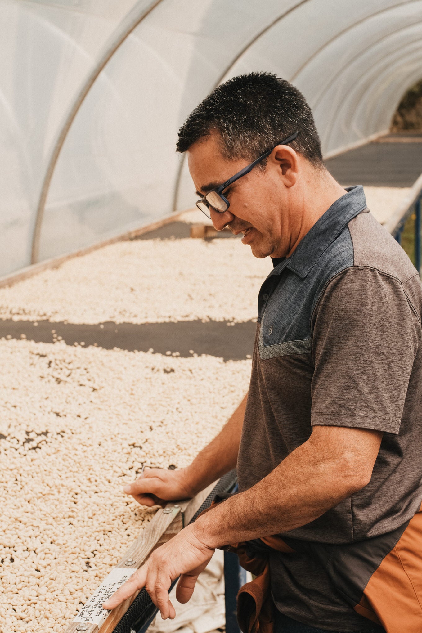 FINCA SOPHIA
