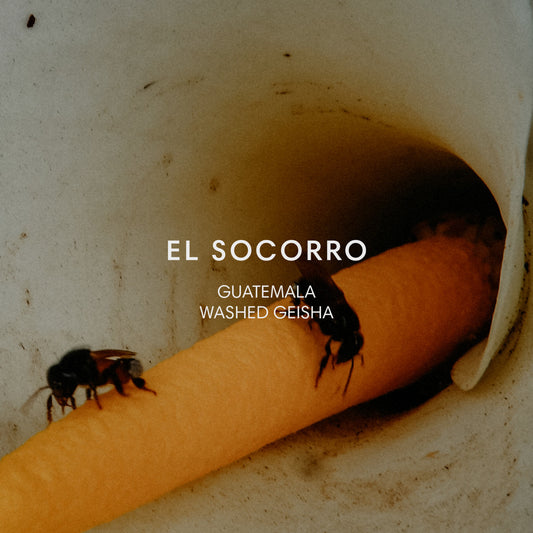 EL SOCORRO GEISHA