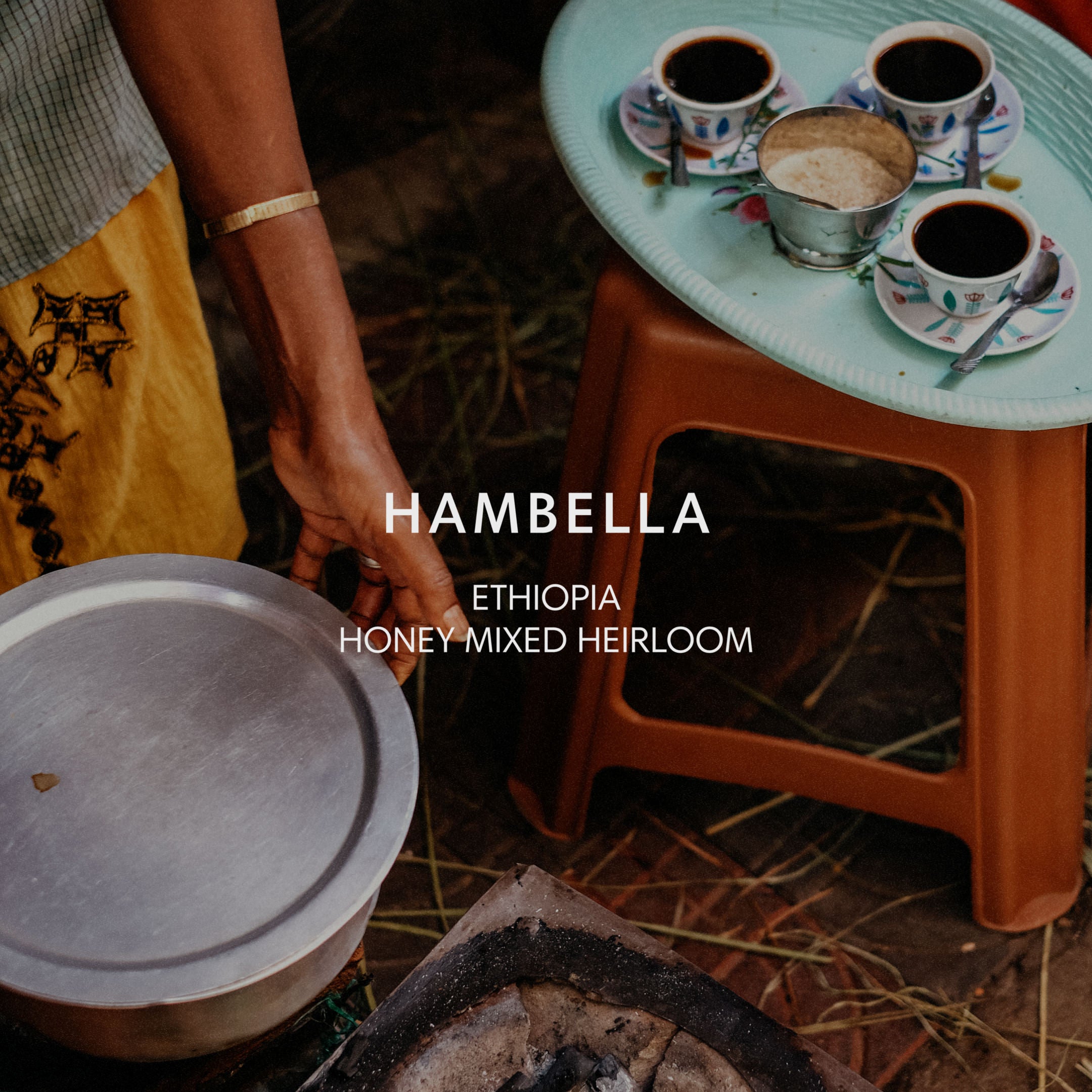 HAMBELLA