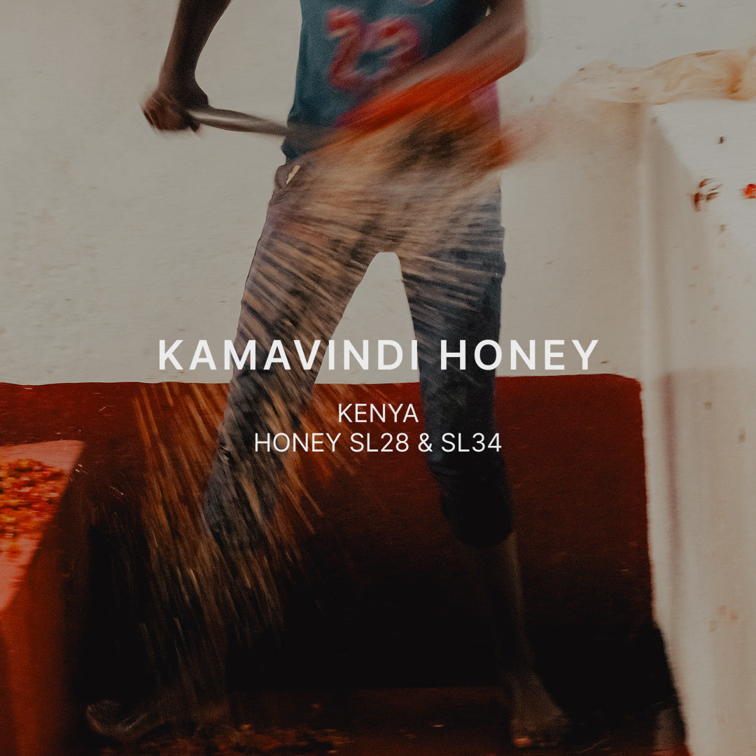 KAMAVINDI SL HONEY