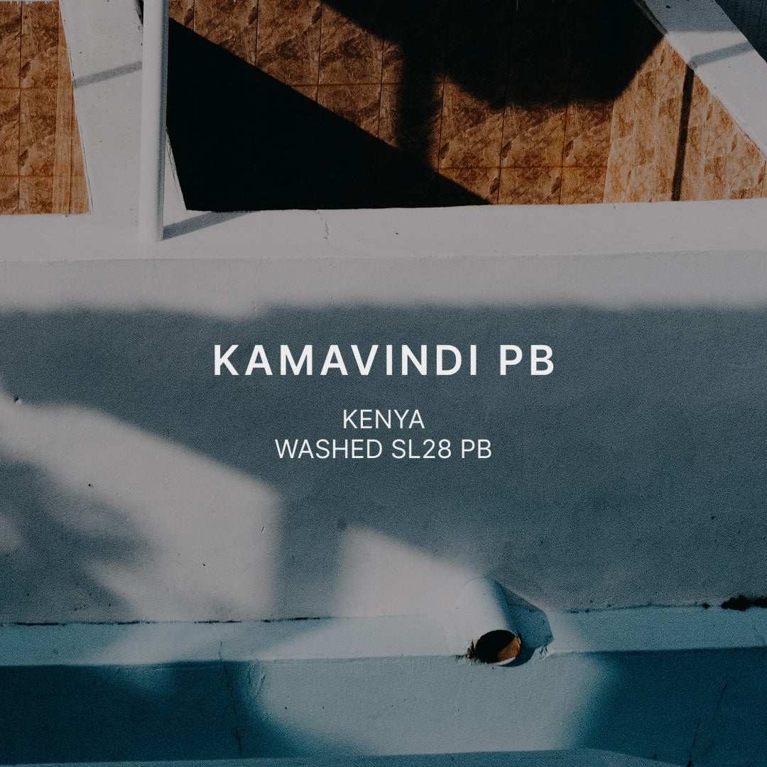 KAMAVINDI SL28 PB
