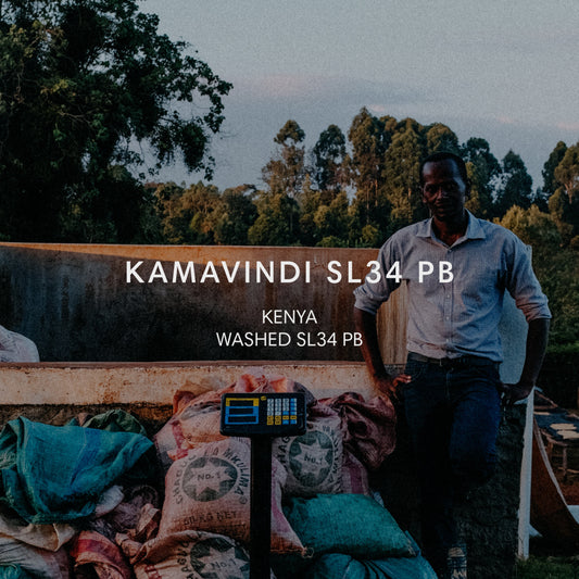 KAMAVINDI SL34 PB