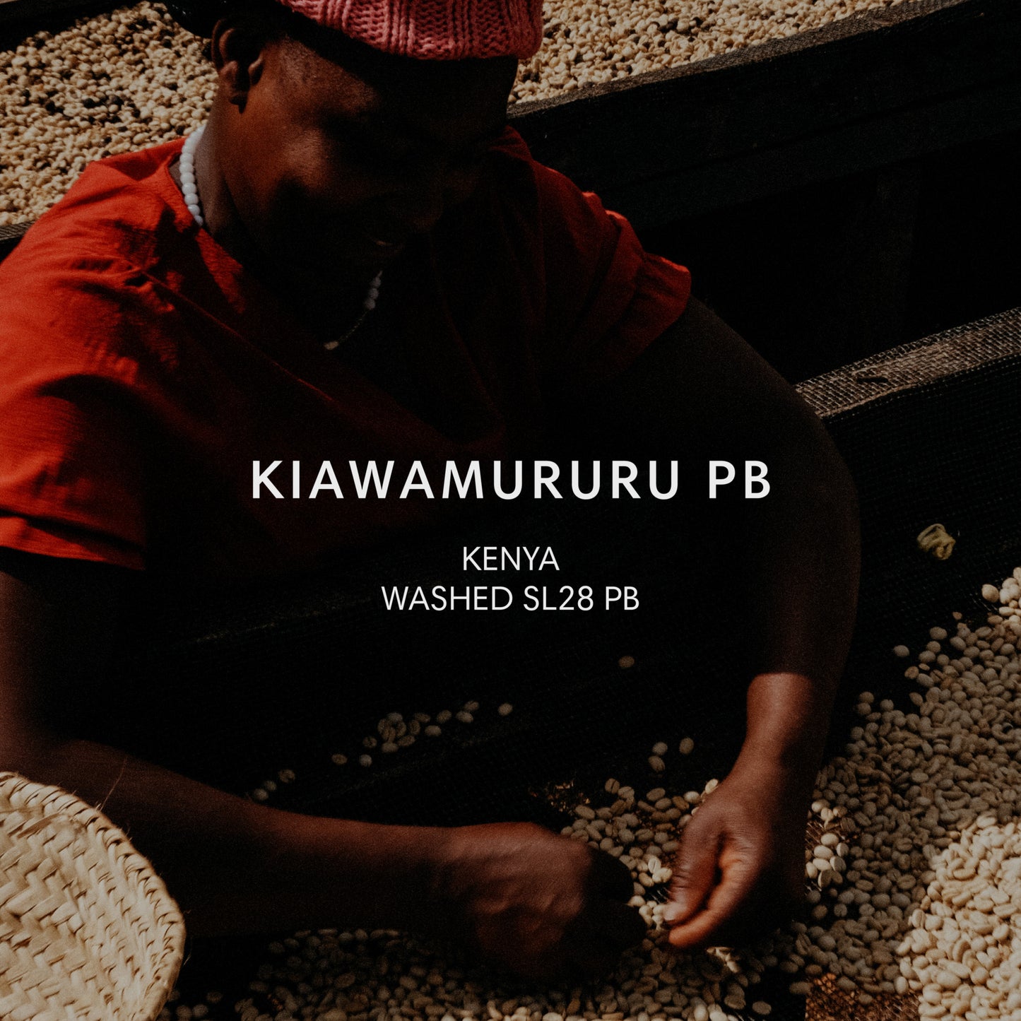 KIAWAMURURU PB