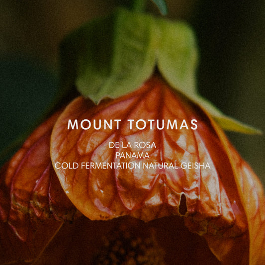 MOUNT TOTUMAS