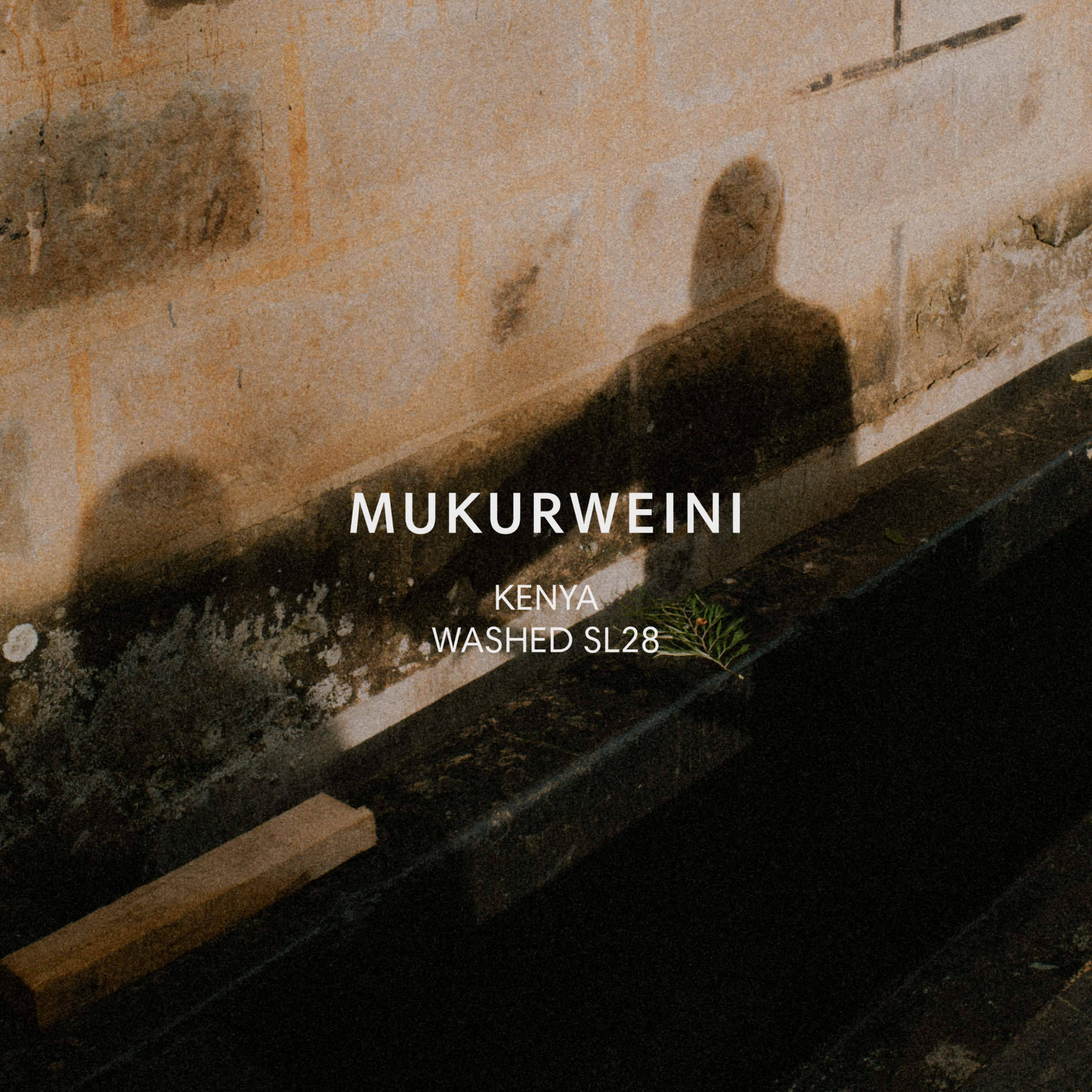 MUKURWEINI WASHED packshot