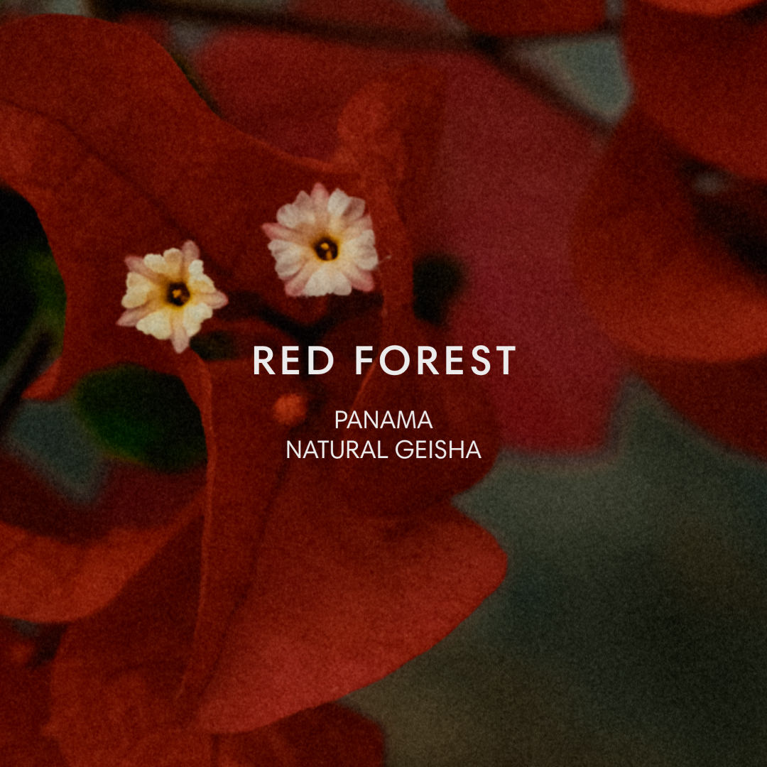 RED FOREST GEISHA