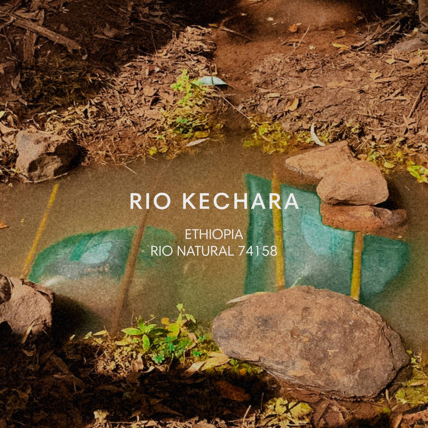 RIO KECHARA