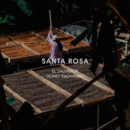 SANTA ROSA
