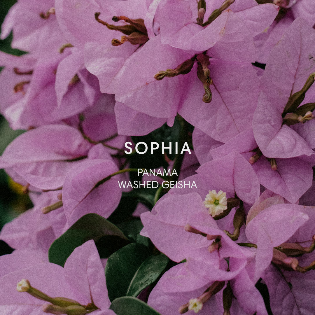 FINCA SOPHIA #130