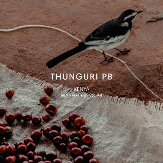 THUNGURI PB