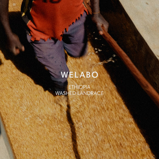 WELABO
